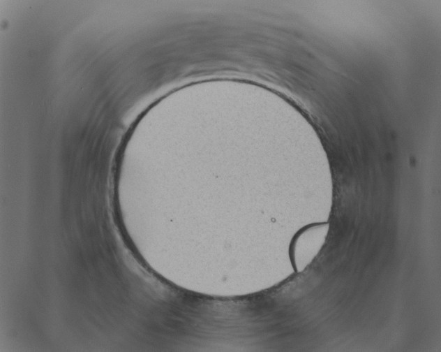 X0000087391518200705181254