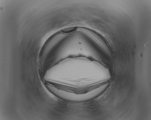 X0000087391519200705181254