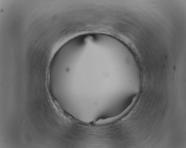 X0000087391520200705181254