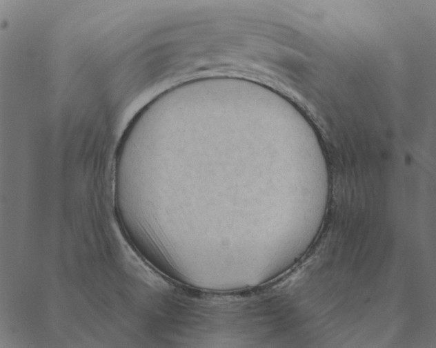 X0000087391522200705181254