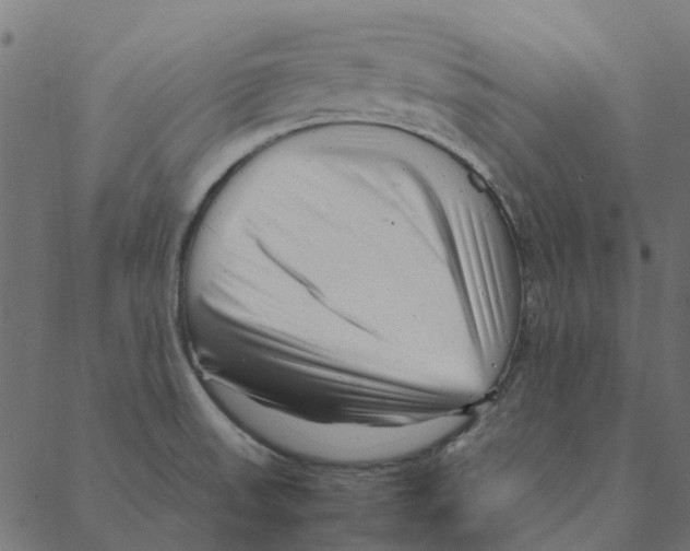 X0000087391523200705181254