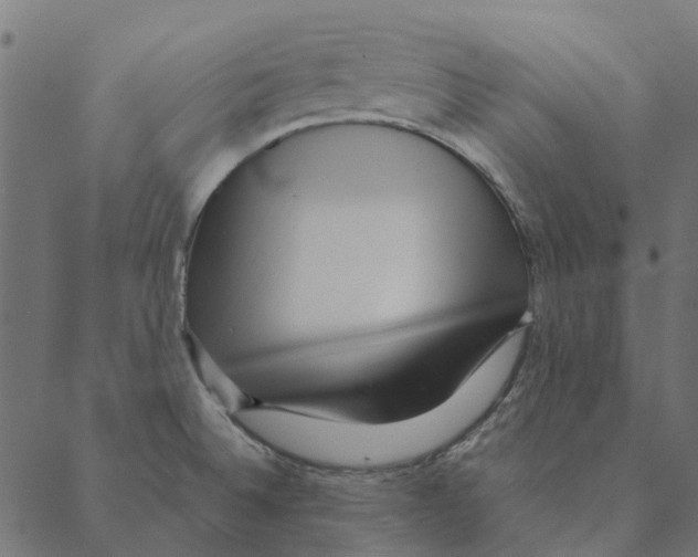 X0000087391524200705181254