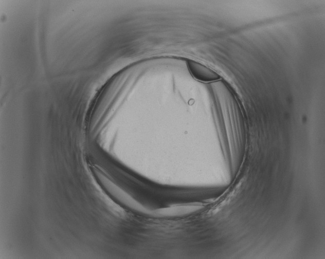 X0000087391525200705181254