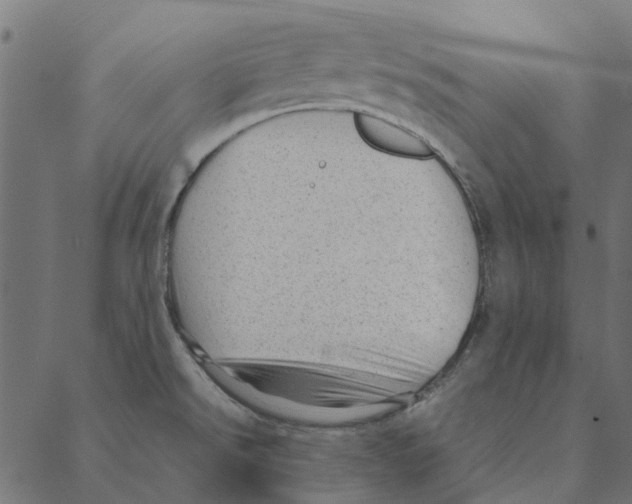 X0000087391526200705181254