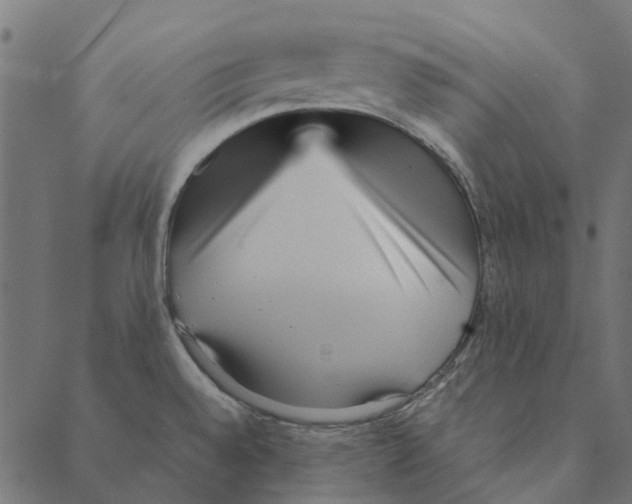 X0000087391528200705181254