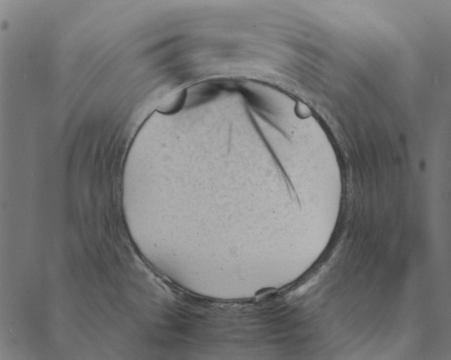 X0000087391529200705181254