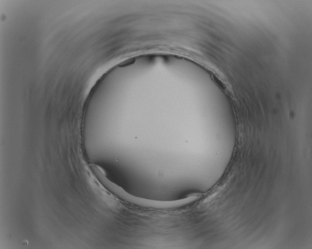 X0000087391530200705181254