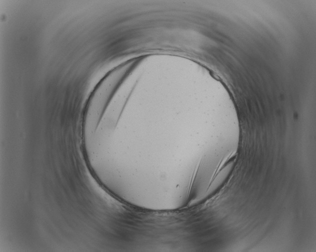 X0000087391531200705181254