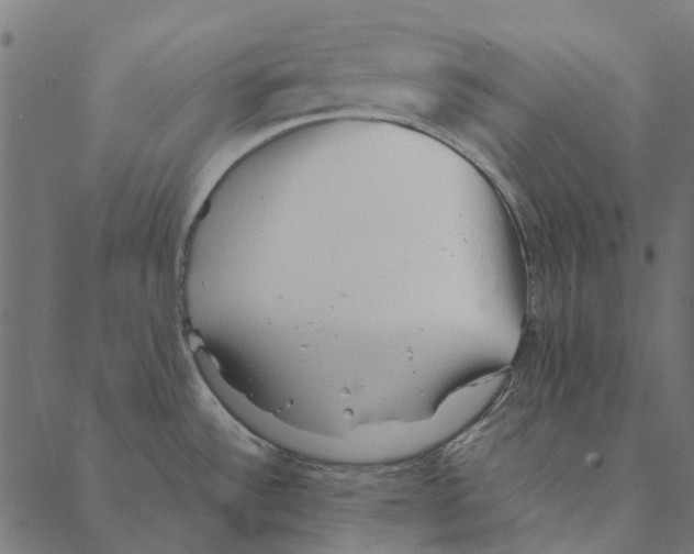 X0000087391532200705181254