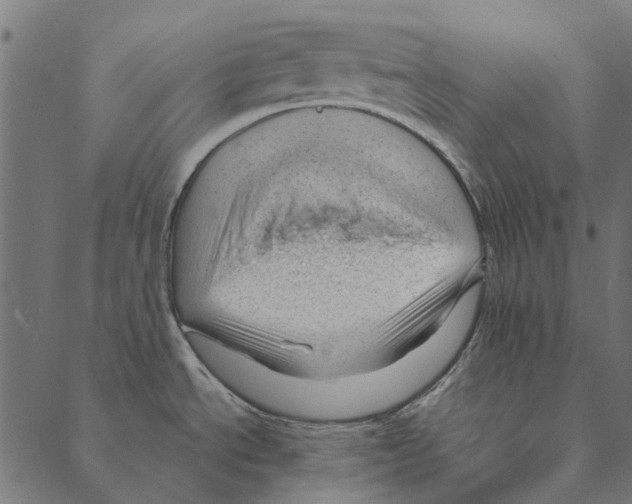 X0000087391534200705181254