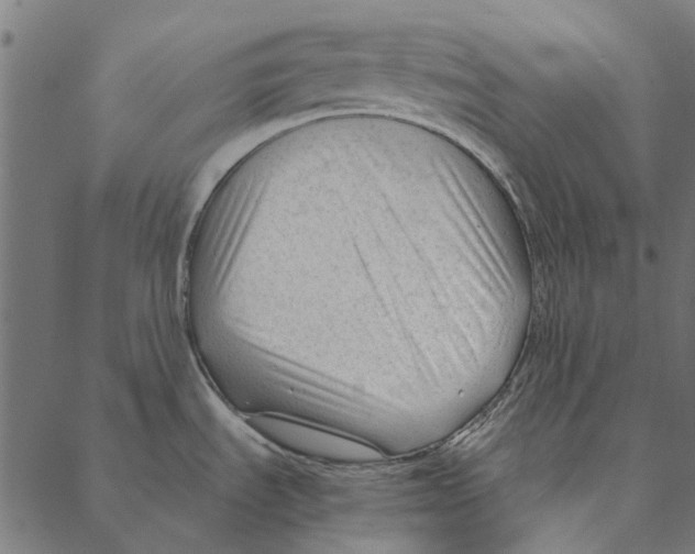 X0000087391535200705181255