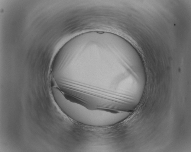 X0000087391536200705181255