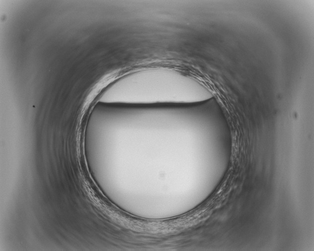 X0000087400006200704201004