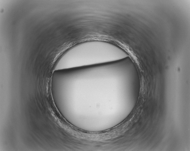 X0000087400010200704201004