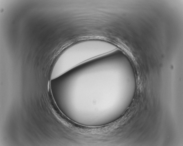 X0000087400013200704201004