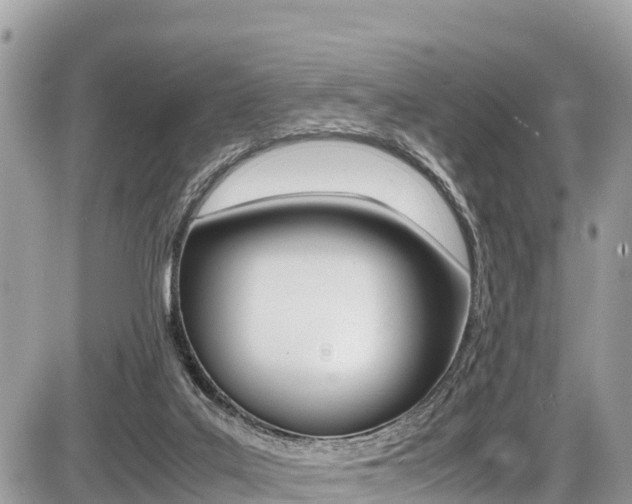 X0000087400019200704201004