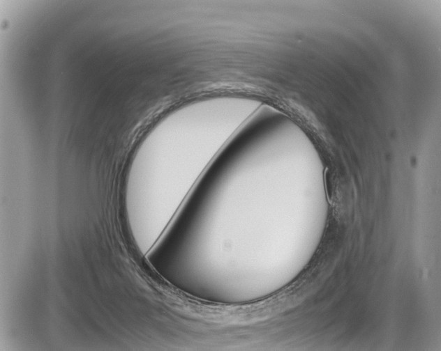 X0000087400023200704201004