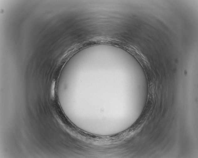 X0000087400024200704201004