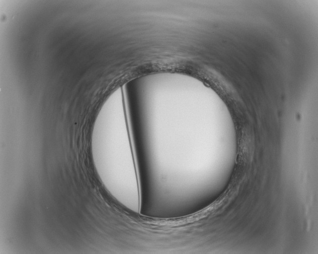 X0000087400025200704201004