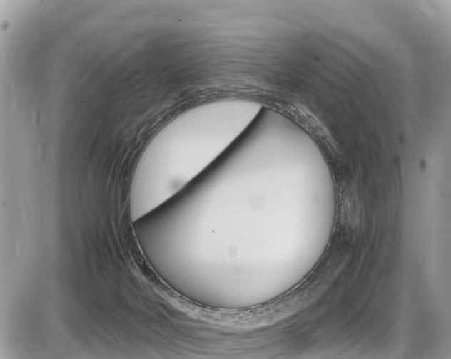 X0000087400026200704201004