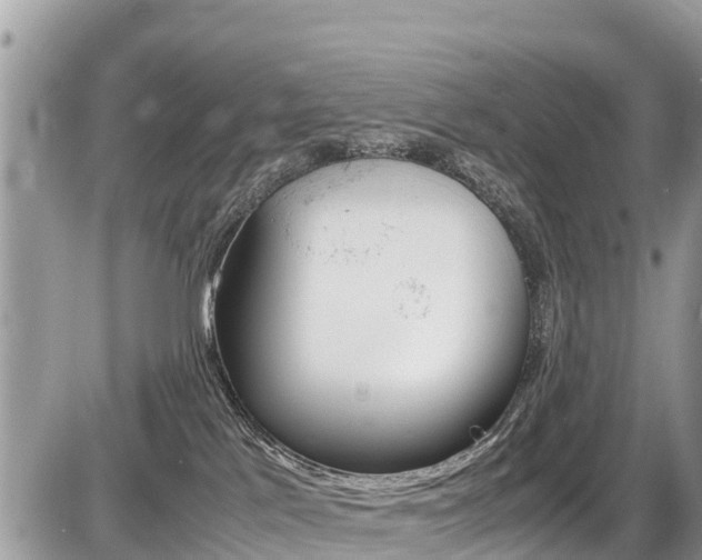 X0000087400041200704201004