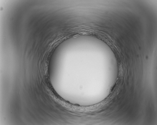 X0000087400043200704201004
