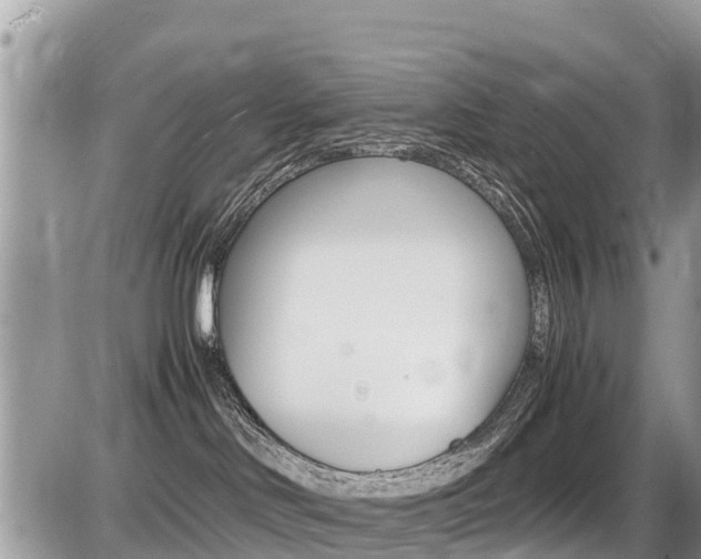 X0000087400046200704201004