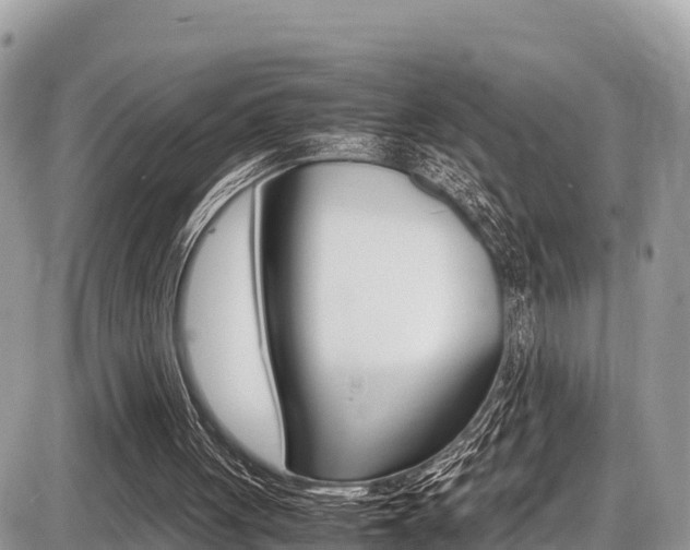 X0000087400051200704201003
