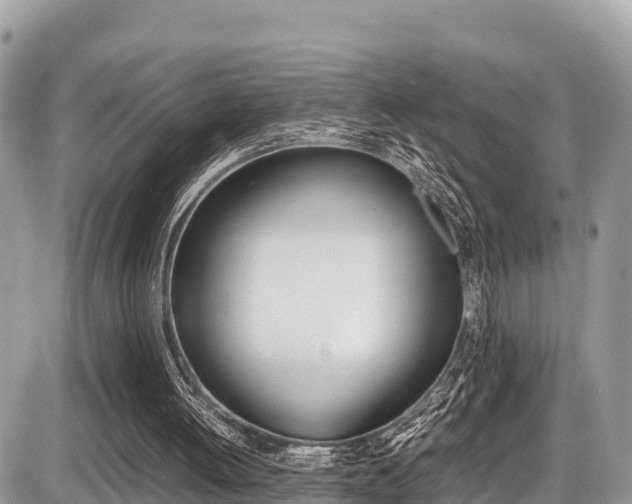 X0000087400052200704201003
