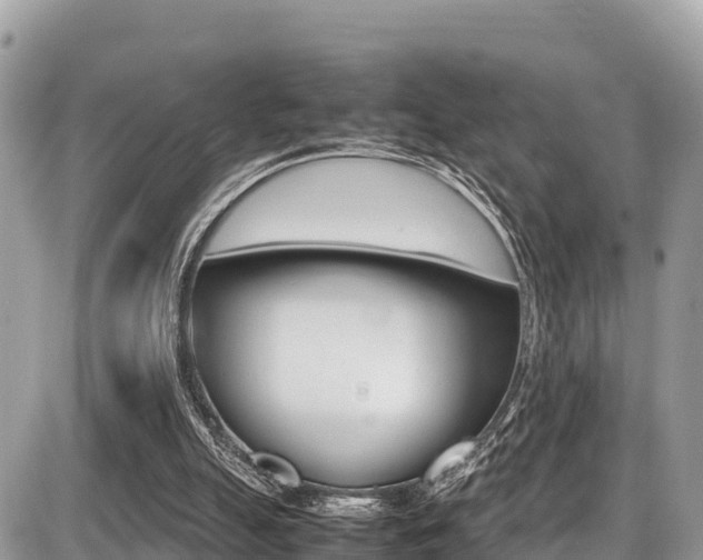 X0000087400055200704201003