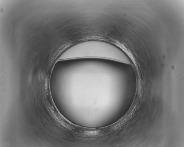 X0000087400057200704201003