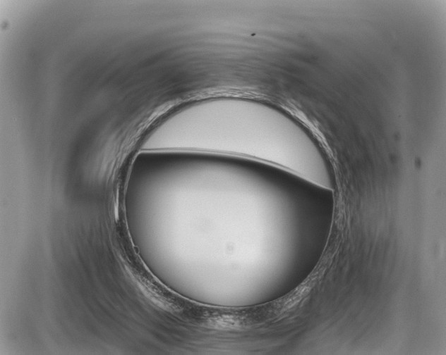 X0000087400062200704201003