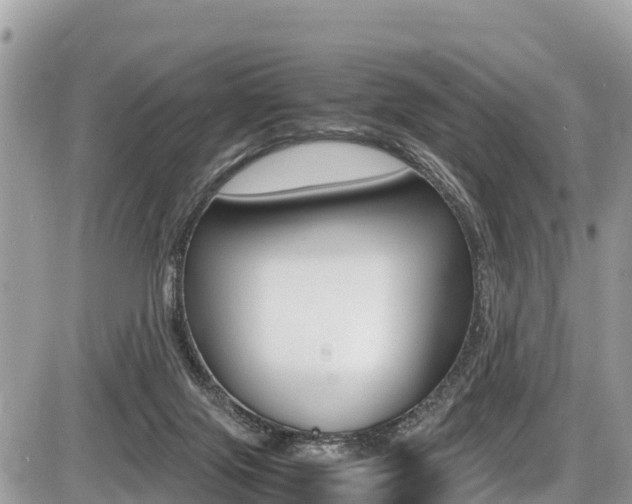 X0000087400071200704201003