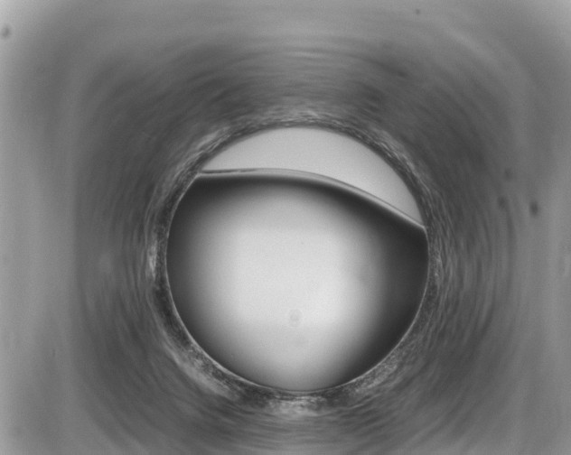 X0000087400072200704201003
