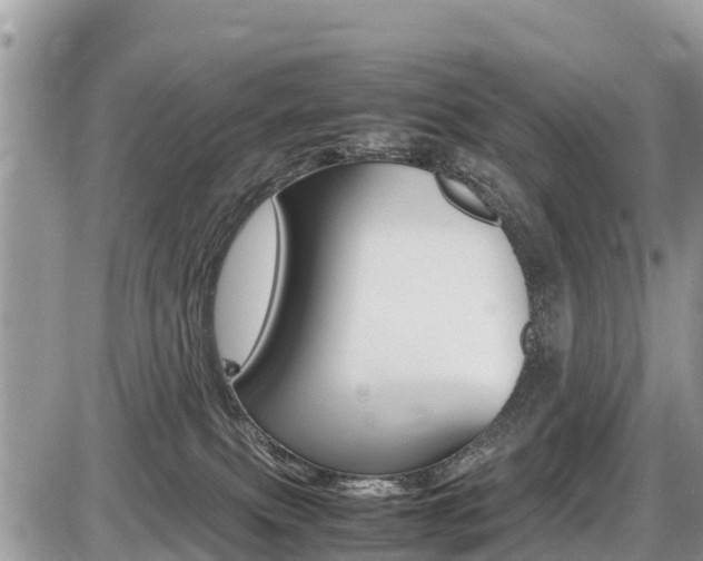 X0000087400087200704201003
