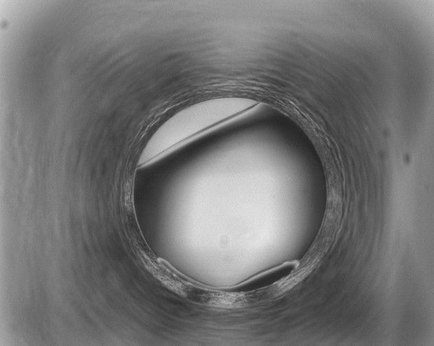 X0000087400096200704201003