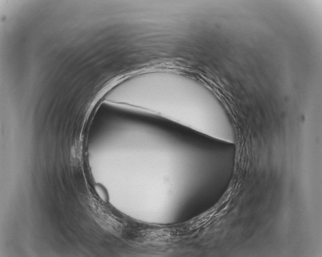 X0000087400100200704201003