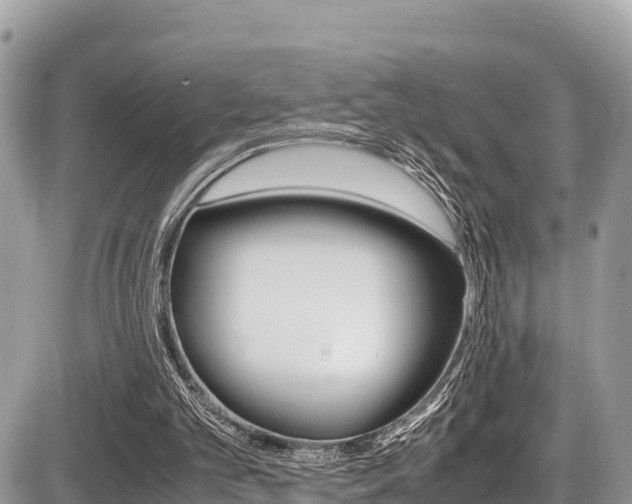 X0000087400101200704201003