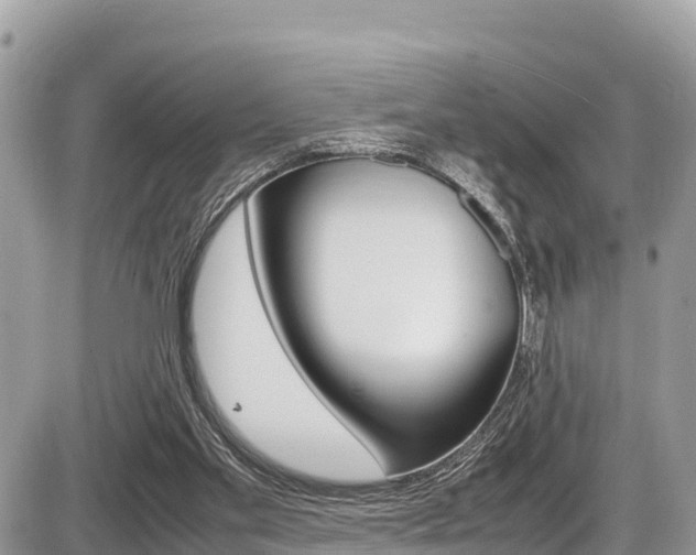 X0000087400109200704201002