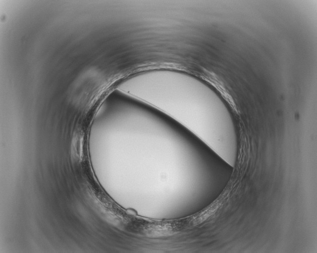 X0000087400110200704201002