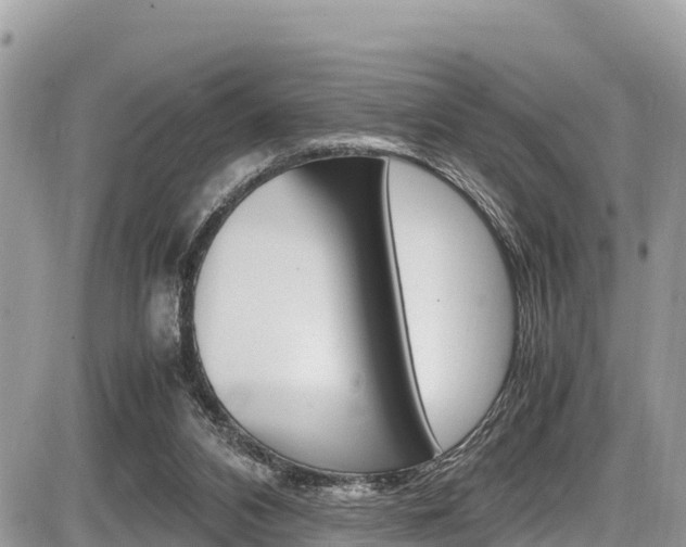 X0000087400112200704201002