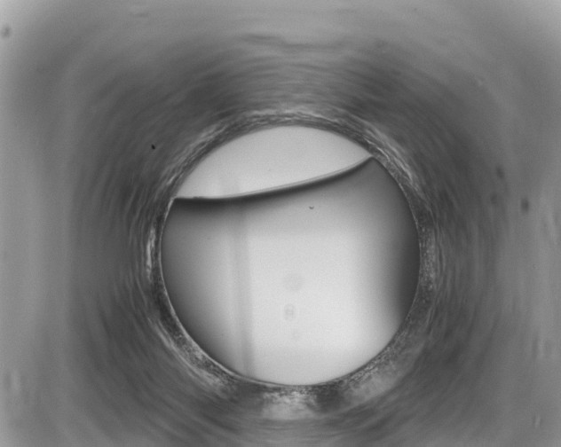 X0000087400118200704201002