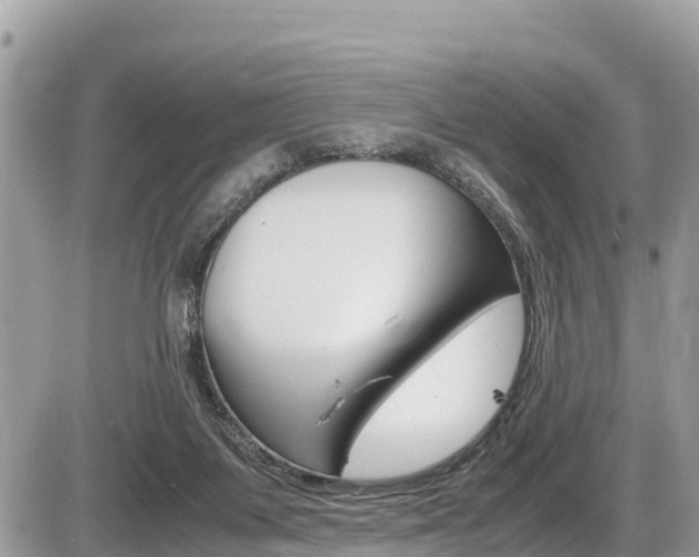 X0000087400119200704201002