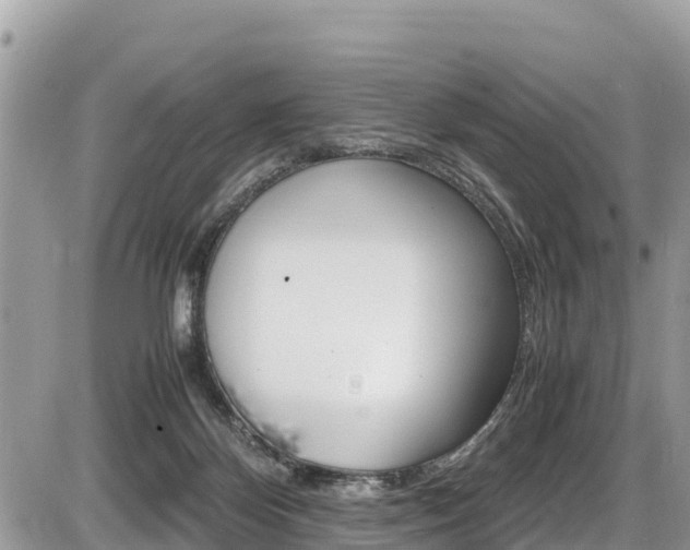 X0000087400124200704201002