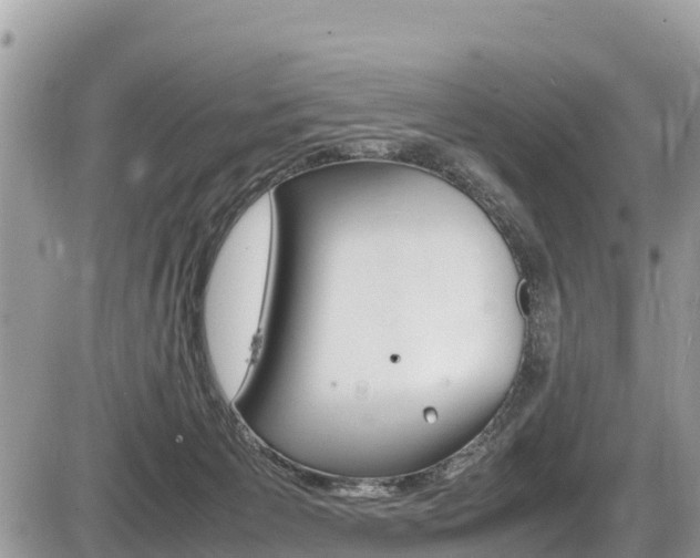 X0000087400125200704201002