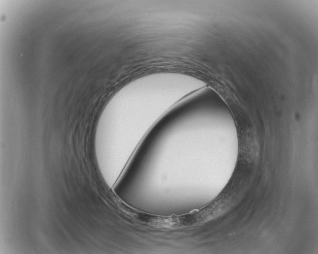 X0000087400131200704201002