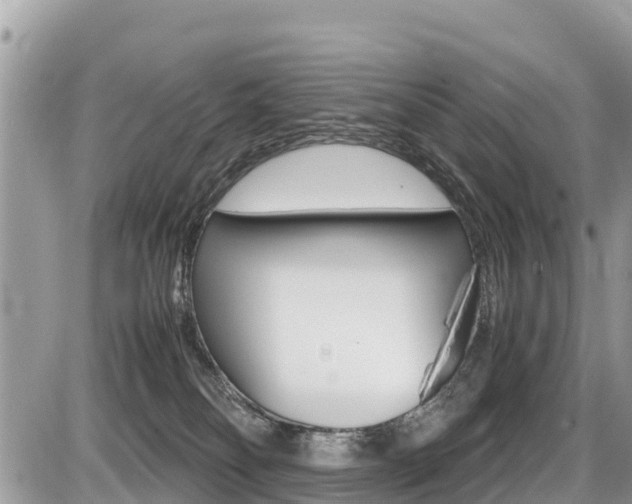 X0000087400134200704201002