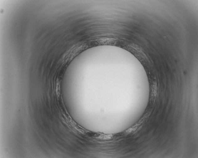 X0000087400138200704201002