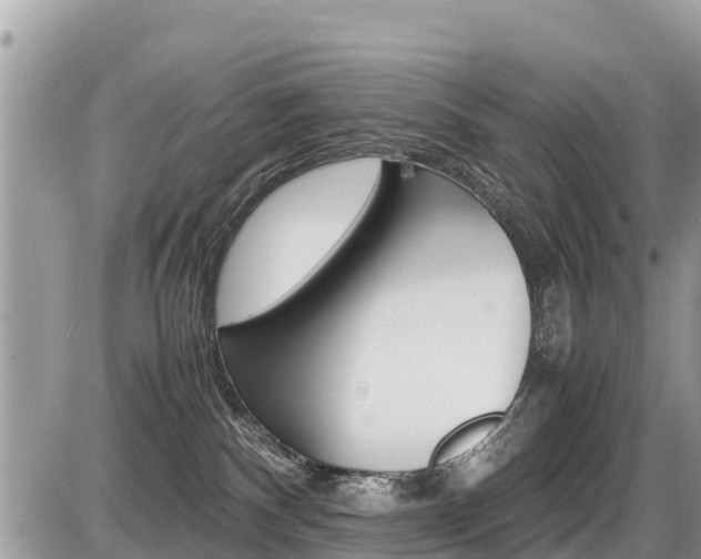 X0000087400140200704201002