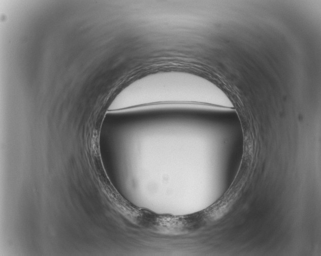 X0000087400141200704201002